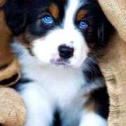 ヒメ日記 2024/12/30 22:21 投稿 みさえ 熟女の風俗最終章 所沢店