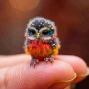 ヒメ日記 2025/01/05 09:40 投稿 みさえ 熟女の風俗最終章 所沢店