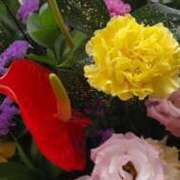 ヒメ日記 2025/01/07 22:23 投稿 みさえ 熟女の風俗最終章 所沢店