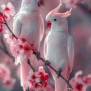 ヒメ日記 2025/01/25 19:46 投稿 みさえ 熟女の風俗最終章 所沢店