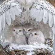 ヒメ日記 2025/01/29 22:43 投稿 みさえ 熟女の風俗最終章 所沢店