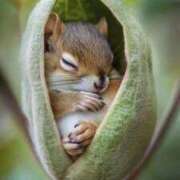 ヒメ日記 2025/03/09 20:25 投稿 みさえ 熟女の風俗最終章 所沢店