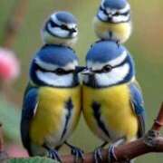 ヒメ日記 2025/04/08 02:43 投稿 みさえ 熟女の風俗最終章 所沢店