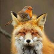 ヒメ日記 2025/04/17 20:03 投稿 みさえ 熟女の風俗最終章 所沢店