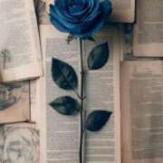 ヒメ日記 2025/06/21 21:43 投稿 みさえ 熟女の風俗最終章 所沢店