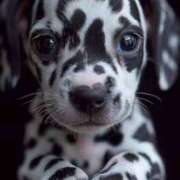 ヒメ日記 2025/01/17 23:23 投稿 みさえ 熟女の風俗最終章 立川店