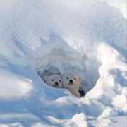 ヒメ日記 2025/03/09 00:28 投稿 みさえ 熟女の風俗最終章 立川店