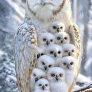 ヒメ日記 2025/03/14 19:53 投稿 みさえ 熟女の風俗最終章 立川店