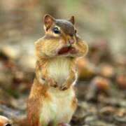 ヒメ日記 2025/03/18 20:23 投稿 みさえ 熟女の風俗最終章 立川店