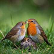 ヒメ日記 2025/04/05 22:33 投稿 みさえ 熟女の風俗最終章 立川店