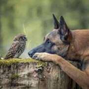 ヒメ日記 2025/04/18 20:23 投稿 みさえ 熟女の風俗最終章 立川店