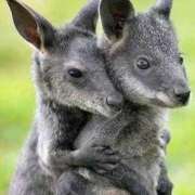 ヒメ日記 2025/09/20 22:33 投稿 みさえ 熟女の風俗最終章 立川店