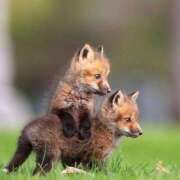 ヒメ日記 2025/09/21 20:21 投稿 みさえ 熟女の風俗最終章 立川店