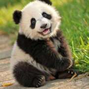 ヒメ日記 2025/10/03 23:53 投稿 みさえ 熟女の風俗最終章 立川店