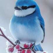 ヒメ日記 2025/12/02 19:55 投稿 みさえ 熟女の風俗最終章 立川店