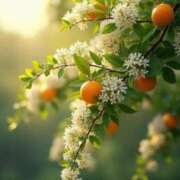 ヒメ日記 2026/04/17 19:53 投稿 みさえ 熟女の風俗最終章 立川店