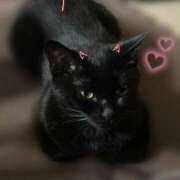 ヒメ日記 2024/12/18 22:09 投稿 ウサギ 【福岡デリヘル】20代・30代★博多で評判のお店はココです！