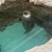 ヒメ日記 2025/02/09 13:23 投稿 ふたば【守ってあげたくなる♡】 LIPS(リップス)