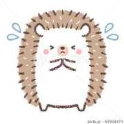 ヒメ日記 2025/03/22 15:19 投稿 ふたば【守ってあげたくなる♡】 LIPS(リップス)