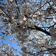 ヒメ日記 2026/04/02 17:11 投稿 ふたば【守ってあげたくなる♡】 LIPS(リップス)