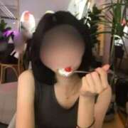 ヒメ日記 2025/05/23 14:50 投稿 冬月 彩花 東京名花