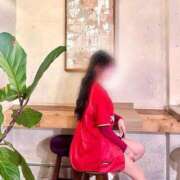 ヒメ日記 2025/04/02 04:20 投稿 剣菱 璃音 東京名花