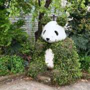 ヒメ日記 2026/04/15 21:43 投稿 アイ CLUB PLATINUM