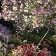 ヒメ日記 2025/04/27 01:38 投稿 るい One More 奥様　西川口店