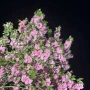 ヒメ日記 2025/05/02 17:11 投稿 るい One More 奥様　西川口店