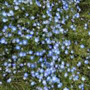 ヒメ日記 2025/05/03 10:06 投稿 るい One More 奥様　西川口店