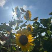 ヒメ日記 2025/07/26 10:51 投稿 るい One More 奥様　西川口店