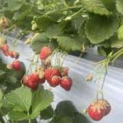 ヒメ日記 2025/04/09 16:46 投稿 マリン 快楽玉乱堂