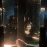 ヒメ日記 2025/10/21 16:41 投稿 マリン 快楽玉乱堂