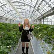 ヒメ日記 2026/04/13 13:16 投稿 マリン 快楽玉乱堂