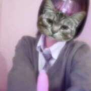 ヒメ日記 2025/04/14 11:02 投稿 あめ アイドルチェッキーナ本店