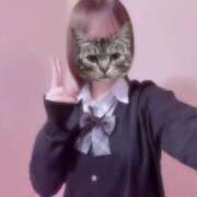 ヒメ日記 2025/04/16 11:19 投稿 あめ アイドルチェッキーナ本店