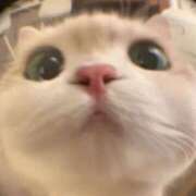 ヒメ日記 2025/07/05 10:42 投稿 あめ アイドルチェッキーナ本店