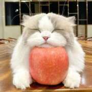 ヒメ日記 2025/07/08 09:22 投稿 あめ アイドルチェッキーナ本店