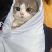 ヒメ日記 2025/08/04 21:12 投稿 あめ アイドルチェッキーナ本店