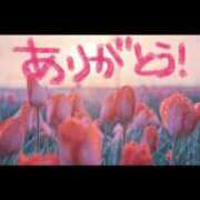 ヒメ日記 2025/03/02 11:00 投稿 ゆきね 松本人妻隊