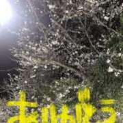ヒメ日記 2025/03/22 11:30 投稿 ゆきね 松本人妻隊
