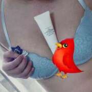 ヒメ日記 2025/05/07 10:00 投稿 ゆきね 松本人妻隊