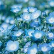 ヒメ日記 2025/03/21 16:02 投稿 めい Smart(スマート)