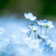 めい なにするのっ？？😘 Smart(スマート)