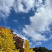 ヒメ日記 2025/11/16 16:32 投稿 かなめ 錦糸町ちゃんこ