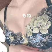 ヒメ日記 2025/08/08 17:27 投稿 もね G-STAGE