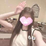 ヒメ日記 2026/03/06 05:19 投稿 もね G-STAGE