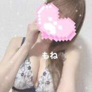 ヒメ日記 2026/04/15 05:19 投稿 もね G-STAGE