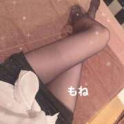 ヒメ日記 2026/04/27 17:49 投稿 もね G-STAGE