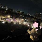 ヒメ日記 2025/04/06 22:12 投稿 浜辺 ゆい☆3 TiAmo（ティアモ）